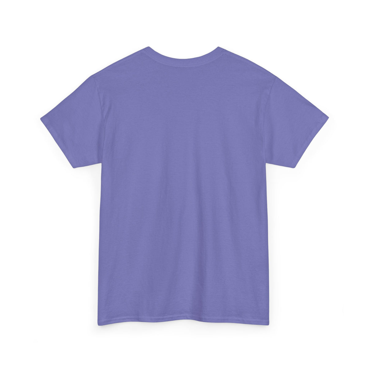 Alcorn State Lady Bear Edition HBCU Tee Shirt