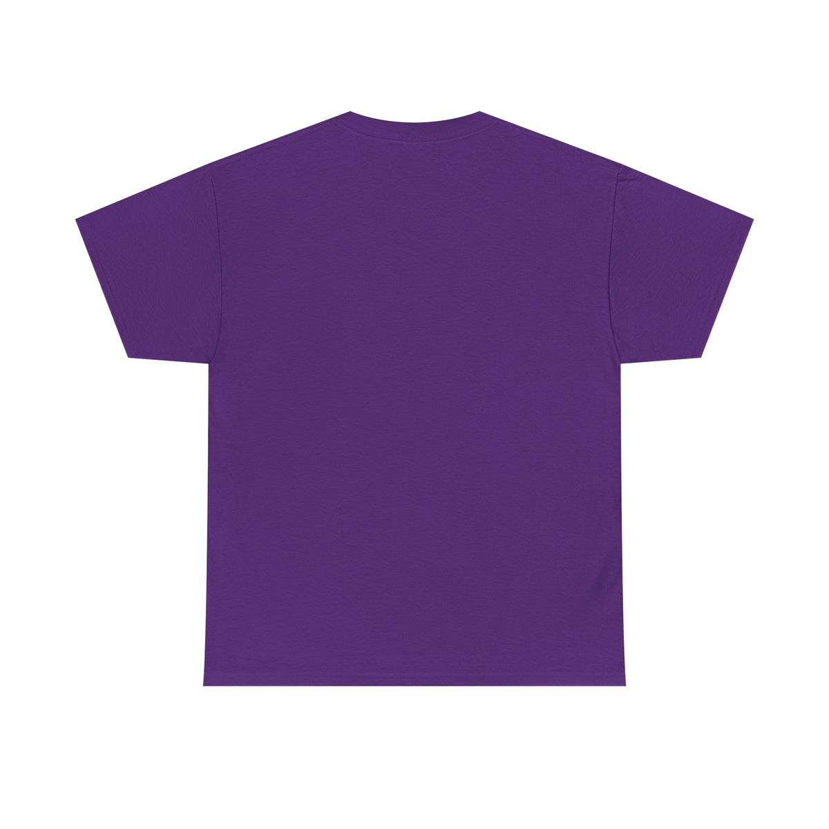 Alcorn State Lady Bear Edition HBCU Tee Shirt
