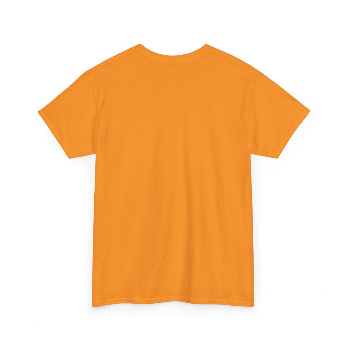 Virginia State Bear Edition HBCU Tee Shirt