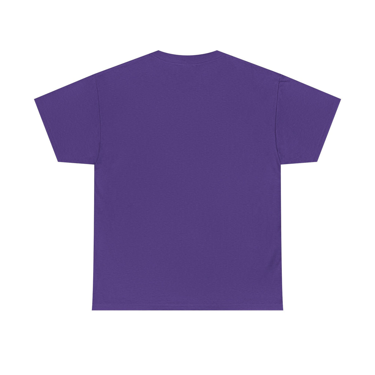 Alcorn State Lady Bear Edition HBCU Tee Shirt