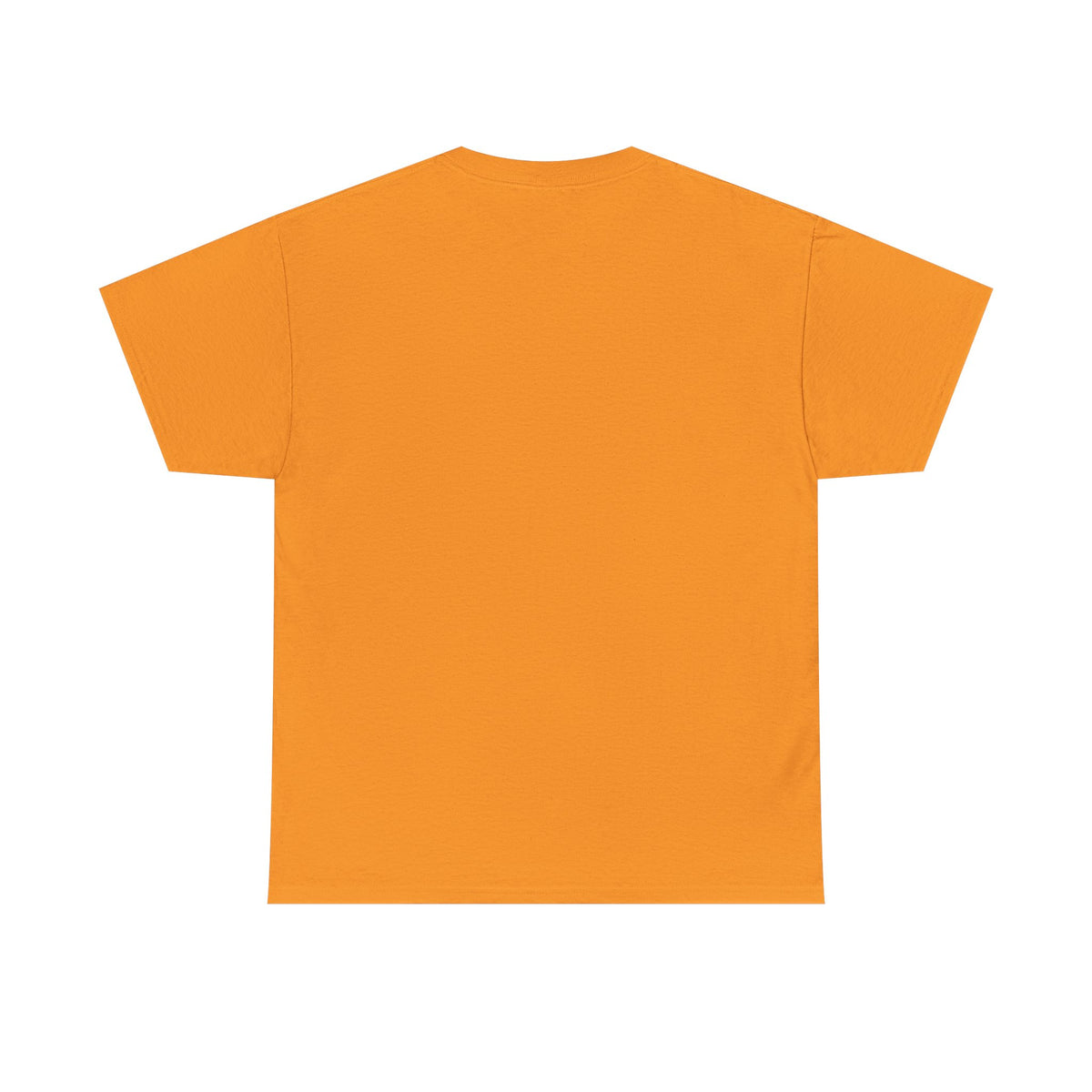 Virginia State Bear Edition HBCU Tee Shirt